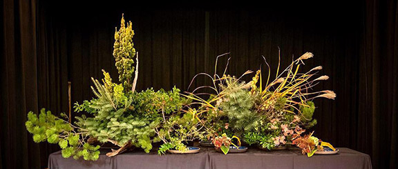 Large landscape arrangement with native pine branches, dark green cedar branches, pampas grass, and small pink chrysanthemums depicting the beauty of nature in Victoria in Udei containers