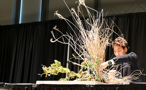 Headmaster is demonstrating a landscape arrangement