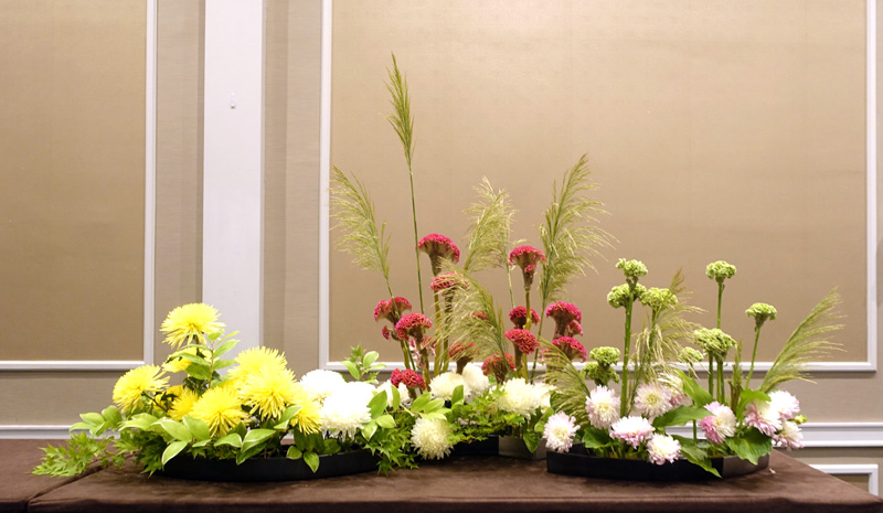 Rimpa arragement with cockscombs, mums, dahlias and flowering reeds