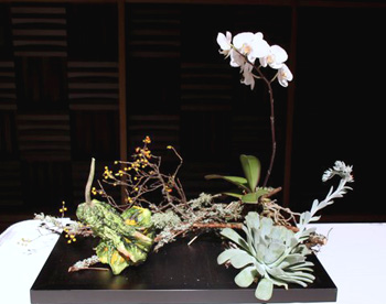 Morimono arrangement 2012