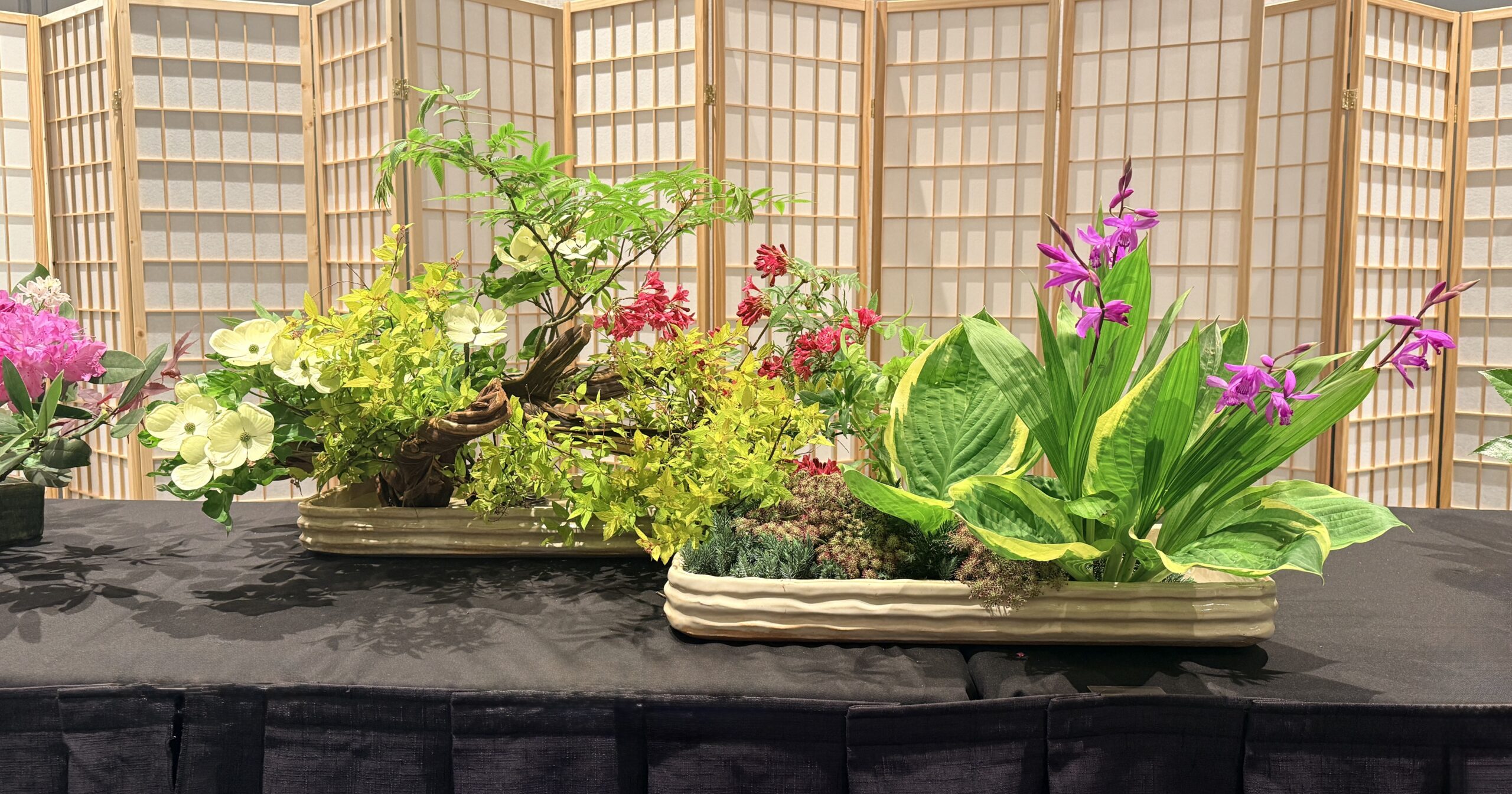 The 23rd NAOTA Conference – May 13-17, 2026 Cleveland, Ohio